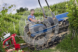 Driver on the tracked tractor works among the rows of vineyards in the Langhe and Roero hills in Piedmont the sky is cloudy and