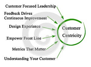 Drivers of Customer Centricity