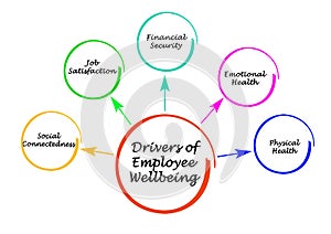 Drivers of Employee Wellbeing