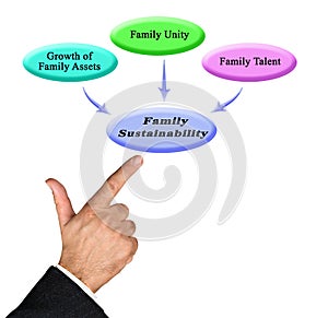 drivers of Family Sustainability