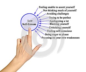 Drivers of  Low Self-Esteem