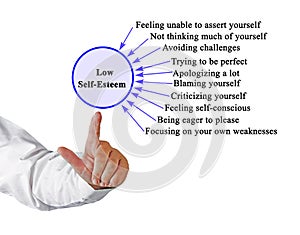 Drivers of  Low Self-Esteem