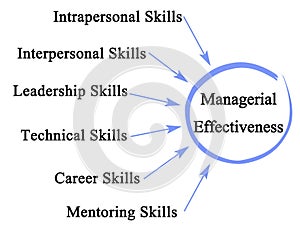 Drivers of Managerial Effectiveness