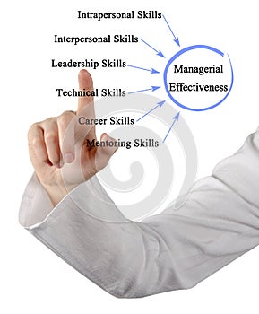 Drivers of Managerial Effectiveness