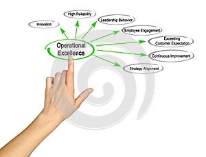 Drivers of Operational Excellence