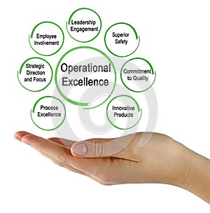 Drivers of Operational Excellence