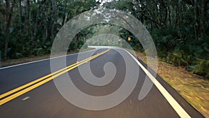 Drivers Point of View of Scenic Road in Early Morning