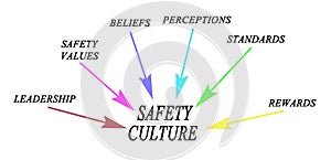 Drivers of Safety Culture