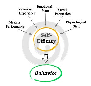 Drivers of self Efficacy