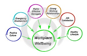 Drivers of workplace wellbeing