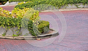 Driveway along the Lombard Street in San Francisco which is also termed as the crookedest street in the world