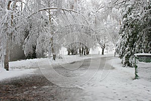 Driveway buried under snow.