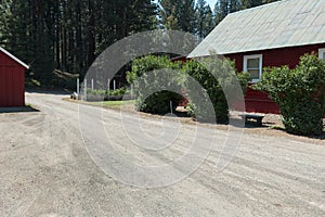 Driveway through the farm