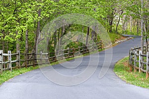 Driveway with Fences