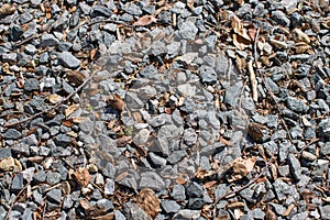 Driveway gravel mixed with leaves and twigs