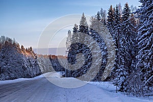 Driveway through the snow-covered forest. Sunlit treetops