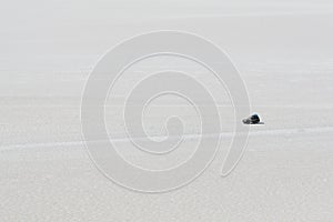 Driving across the salt flats at Uyuni