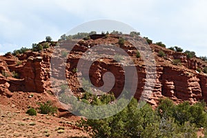 Driving along Jemez Mountain National Scenic Byway in New Mexico
