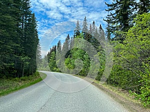 Driving along the Miette Hot Springs Road near Jasper, Alberta in Canad