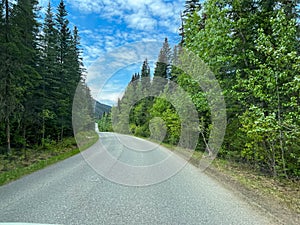 Driving along the Miette Hot Springs Road near Jasper, Alberta in Canad