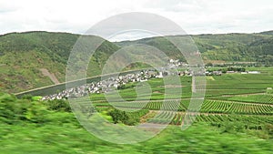 Driving along at vineyards of Moselle river. In background village Beilstein in Rhineland-Palatinate. (Germany)