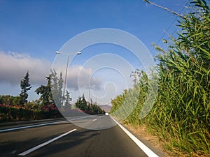 Driving asphalt road with reeds in Greece, Europe