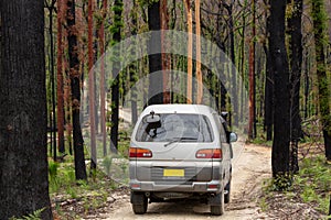 Driving the back roads of Mogo through burnt bush land photo