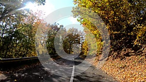 Driving through bright autumn forest in sunny fall