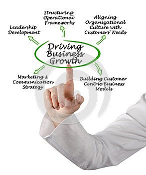 Driving Business Growth