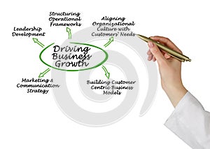 Driving Business Growth