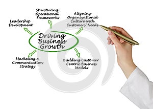 Driving Business Growth photo