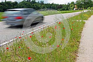 Driving car on country road, in motion unsharpness