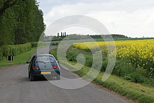 Driving a car in a countryside