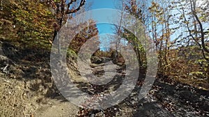 Driving in car on dirt road in autumn forest