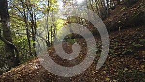 Driving in car on dirt road in autumn forest