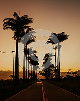 Driving a car in evening sky