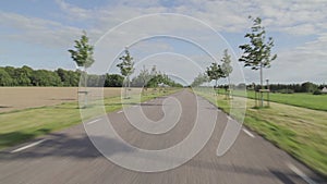 Driving a car on a tarmac road with small trees