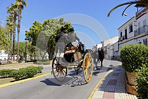 Driving carriages down a street in an Andalusian village