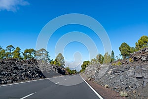 Driving cat on volcano Mount Teide, Tenerife island, Canary, Spain