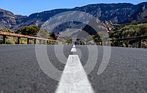 Driving cat on volcano Mount Teide, Tenerife island, Canary, Spain