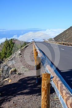 Driving cat on volcano Mount Teide, Tenerife island, Canary, Spain
