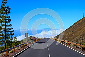 Driving cat on volcano Mount Teide, Tenerife island, Canary, Spain