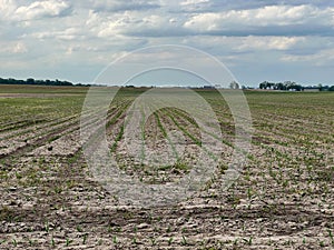 Driving through the countryside near Evansville, IL with farms along the side of the road