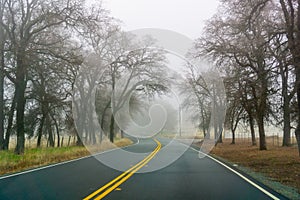 Driving on a day with heavy fog and low visibility, California