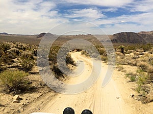 Driving on a Dirt Road in Joshua Tree National Park