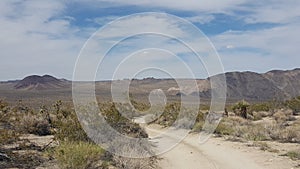 Driving on a Dirt Road in Joshua Tree National Park