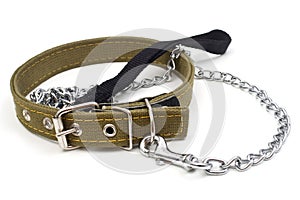 Driving dog and dog collar