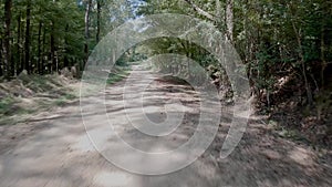 Driving down a dirt road canopied by trees fast.