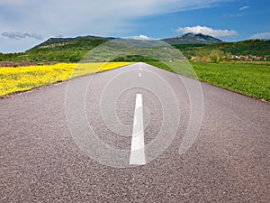 Driving on an empty asphalt road through the idyllic fields