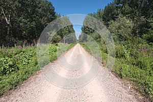 Driving on an empty dirt road photo